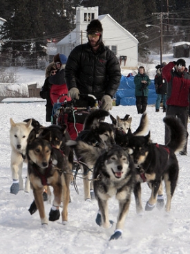 Vítěz závodu psích spřežení Iditarod Lance Mackey.