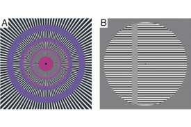 Dva obrazce použité při pokusu. Oba vyvolávají iluzi pohybu.