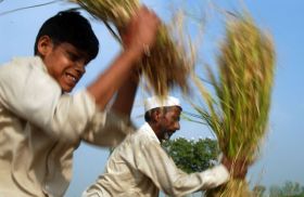 Drobní indičtí rolníci dřou, ale z boomu ve své zemi neprofitují.
