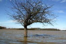 Povodně udeřily znovu, i když v menším rozsahu než v letech 1997 a 2002
