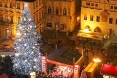 ilustrační foto: podobný Vánoční strom na Staroměstském náměstí zranil Malcolma Tuffina