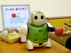Technický zázrak Health and Food Advice Robot už je na trhu.