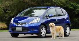 Honda Jazz, která psům vyhovuje, se nabízí i v Česku.