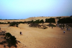 Písečné duny Jockey Ridge State Park.