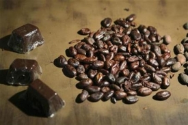 Za pět let snad v Africe stále poroste kakao. A možná bude lepší.