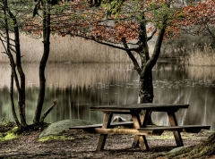 Unavení poutníci si mohou odpočinout třeba na břehu čarokrásného jezera Lac du Merle.