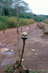 Lebky na kůlech lemovaly cesty v Sierra Leone v době války.