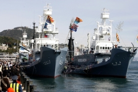 Japonská velrybářská flotila vyplouvá na lov kytovců.
