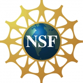 Logo NSF.