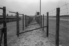 Koncentrační tábor Majdanek