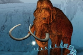 Genom mamuta obsahuje o miliardu více písmen než DNA člověka.