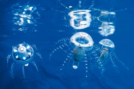 Medúzy plovoucí ve vodě jsou do značné míry autonomní.