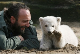 Ahóóój... Knut zdraví packou návštěvníky zoo.