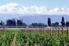 Mendoza v andském podhůří, nejslavnější vinařská oblast Argentiny.