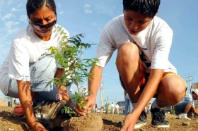 Akce sázení stromků se zúčastnily desítky milionů Mexičanů.