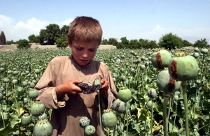 Afghánistán stále vyrábí devadesát procent světového opia.