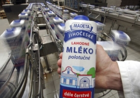 Čeští farmáři omezí mlékárnám dodávky mléka.