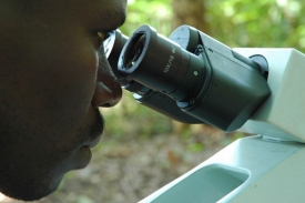 Mikroskop není v nejchudších částech světa vždy k dispozici.