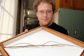 Kurátor Přírodovědného muzea G. Beccaloni ukazuje rekordní strašilku.