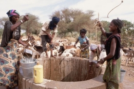 V některých oblastech Nigeru je voda nedostatkovým zdrojem.