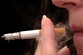 Nebýt nově objeveného genu, sušily by se do cigatet kořeny tabáku.