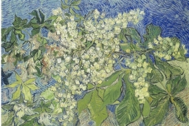 Goghův obraz Kvetoucí větev kaštanu.