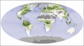 Oblasti intenzivně pohlcuj&iacute;c&iacute; CO2 z atmosf&eacute;ry vyznačeny zeleně.