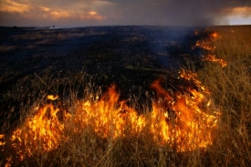 Požár už sežehl přes 800 hektarů země.