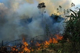 Požár na chorvatském pobřeží je pod kontrolou.