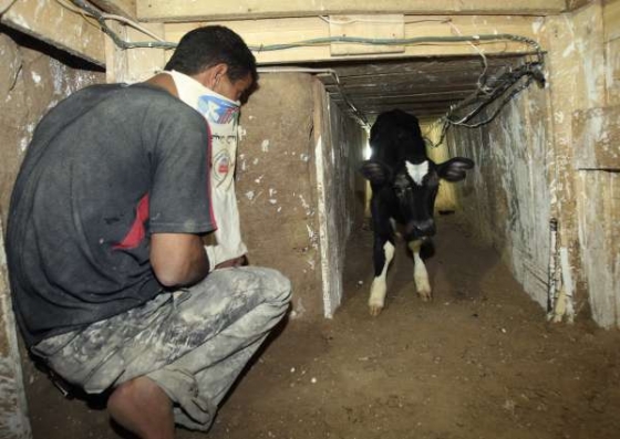 Pašeráckými tunely z Egypta se do Gazy dostává všechno možné.