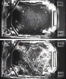 Pavučina utkaná na Zemi (nahoře) a ve stavu beztíže na ISS (dole)