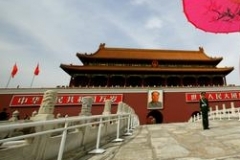 Peking- ilustrační foto
