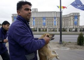 Tvář Bukurešti nesmí před zraky NATO hyzdit bezdomovci ani toulaví psi.