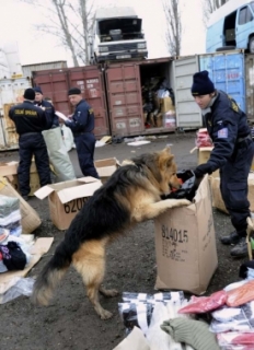 Při zásahu v Sapě odhalil policejní pes přítomost drog.