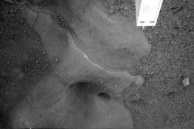 Jako první vyfotila robotická paže tryskami odhalený povrch pod sondou