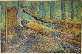 Boubínský prales, barevný dřevoryt. Z díla Josefa Váchala.