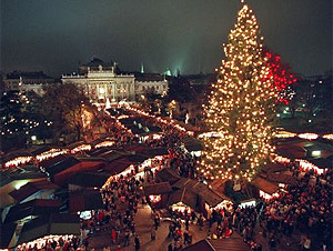 Ve Vídni už stojí i vánoční strom.