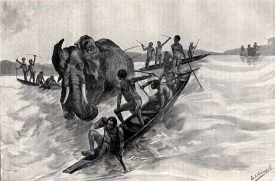 Lov slonů. Kresba z roku 1887.