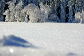 V pondělí by na celém území České republiky měla být sněhová pokrývka.
