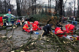 Pád stromu v centru Zlína si vyžádal jednu oběť a sedm zraněných.