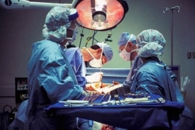 Nejčastěji transplantovaným orgánem je ledvina.