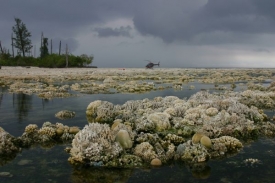 Korálové útesy zničené poklesem hladiny po zemětřesení v roce 2007.