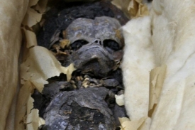 Jeden z mumifikovaných plodů nalezených v Tutanchamonově hrobce.