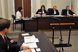 ÚS: Soudy porušily Ščerbovo právo na spravedlivý proces.
