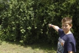 Chlapec ukazuje na místo, které prohledávali policisté.