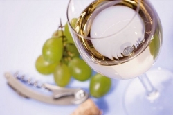 K kategorii bílých vín uspělo Chardonnay.