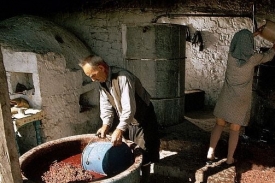 Víno se na Kypru vyrábělo již před 6000 lety.