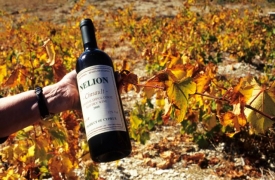 Kyperské víno ohřožují chronická sucha.