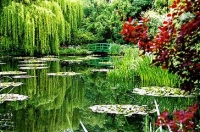 Křehký dřevěný můstek v japonské zahradě je vidět na mnoha Monetových obrazech.