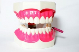 Zuby - ilustrační foto